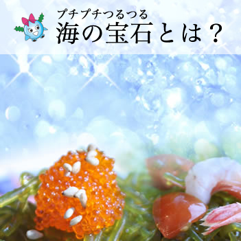 海藻麺と海藻ビーズ プチプチつるつる海の宝石 天恵ジャパン